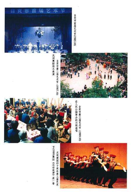 《自贡市文化艺术志》.pdf电子版_四川省志预览图4