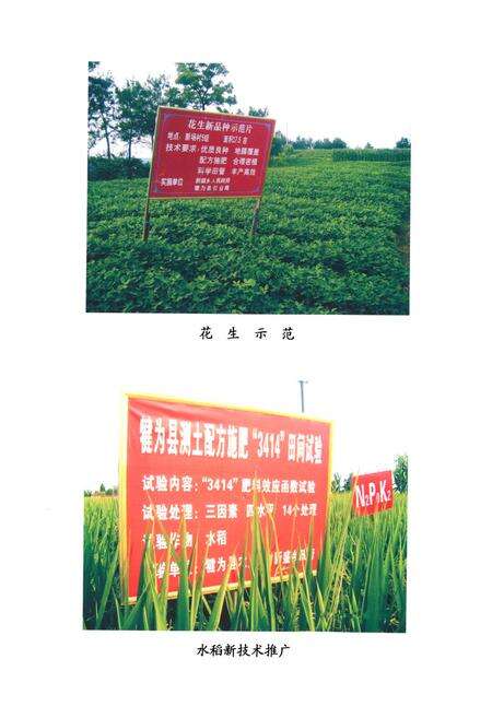 《犍为县新盛乡志》.pdf电子版_四川省志预览图3