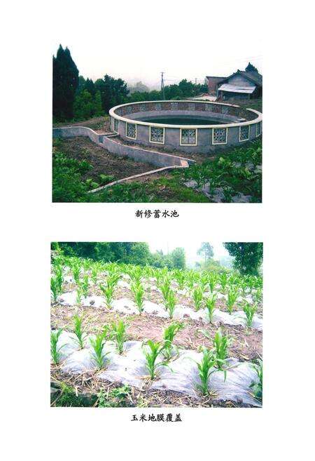 《犍为县新盛乡志》.pdf电子版_四川省志预览图4