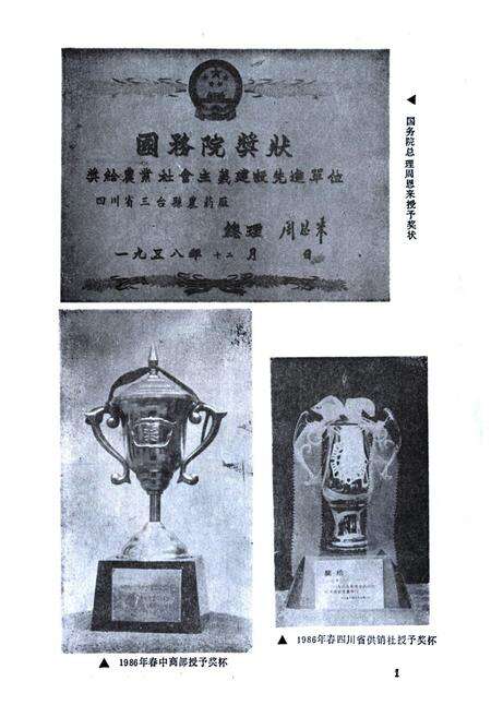 《三台县供销合作社志》.pdf电子版_四川省志预览图5