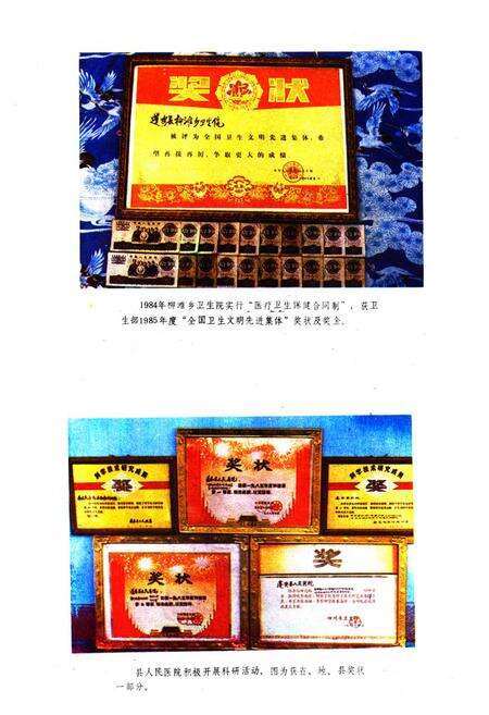 《蓬安县卫生志》.pdf电子版_四川省志预览图5