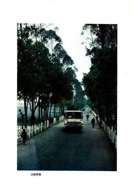 《四川省什邡县交通局志》.pdf电子版_四川省志预览图3