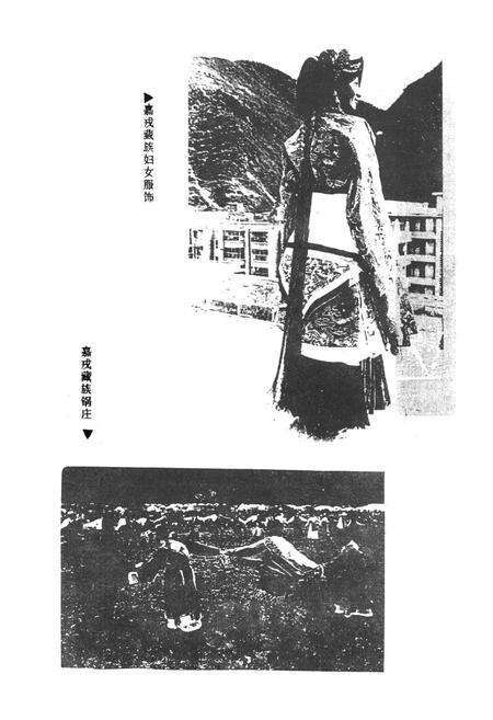《阿坝藏族羌族自治州群众艺术馆志》.pdf电子版_四川省志预览图5