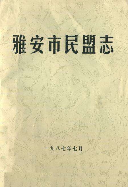 《雅安市民盟志》.pdf电子版_四川省志缩略图