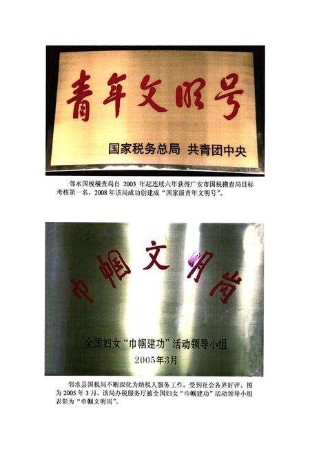 《邻水县国税志(续编三2001-2008)》.pdf电子版_四川省志预览图5