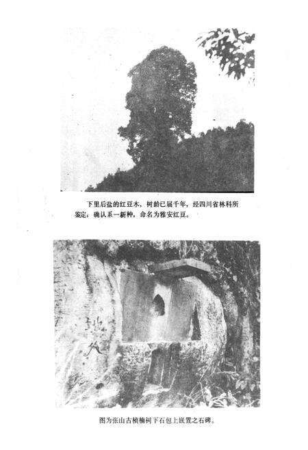 《雅安市林业志》.pdf电子版_四川省志预览图2