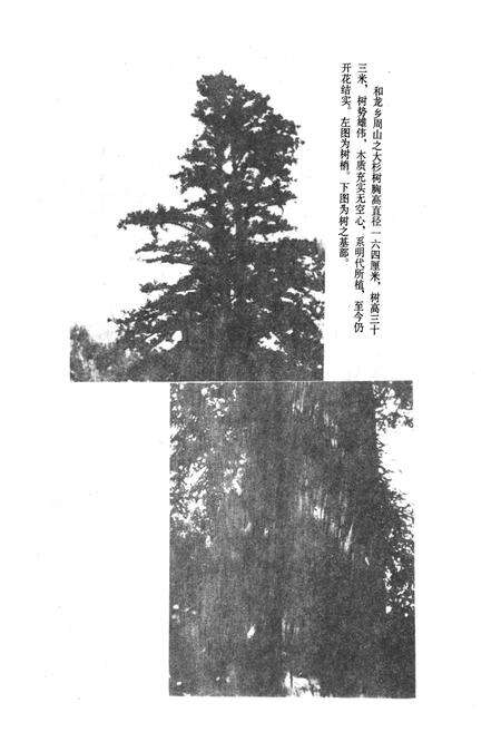 《雅安市林业志》.pdf电子版_四川省志预览图3