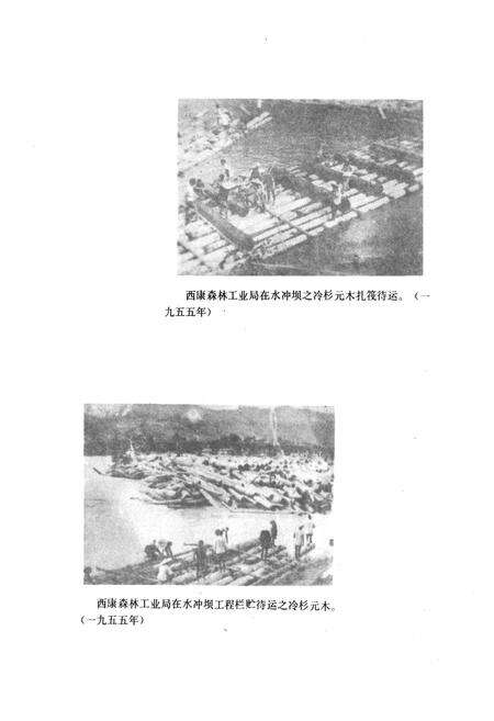 《雅安市林业志》.pdf电子版_四川省志预览图4