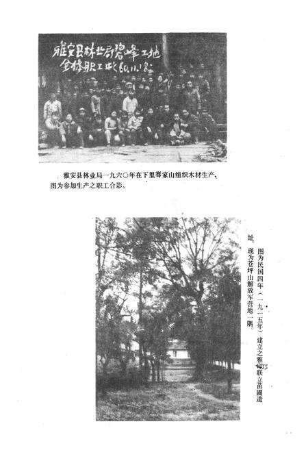 《雅安市林业志》.pdf电子版_四川省志预览图5