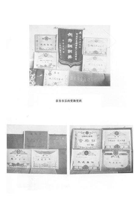 《三台县政协志1950-1990》.pdf电子版_四川省志预览图5