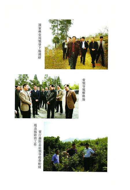 《邻水林业志(1986-2007)》.pdf电子版_四川省志预览图3