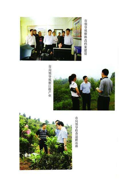 《邻水林业志(1986-2007)》.pdf电子版_四川省志预览图4