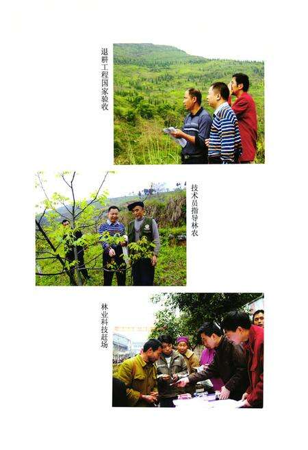 《邻水林业志(1986-2007)》.pdf电子版_四川省志预览图5