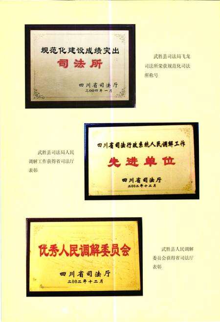 《武胜县司法局志(1986年-2005年)》.pdf电子版_四川省志预览图3