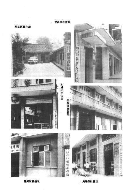 《夹江县供销合作社志》.pdf电子版_四川省志预览图3