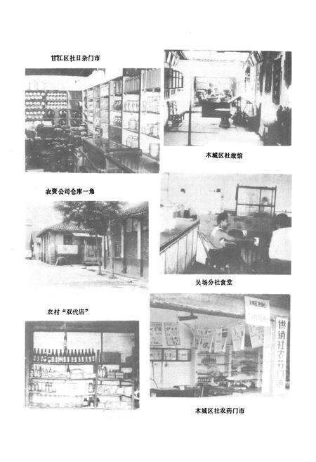 《夹江县供销合作社志》.pdf电子版_四川省志预览图5