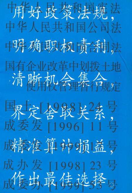《成都市制镜厂厂志》.pdf电子版_四川省志预览图2