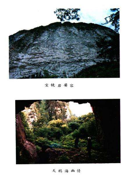 《九寨沟志》.pdf电子版_四川省志预览图4