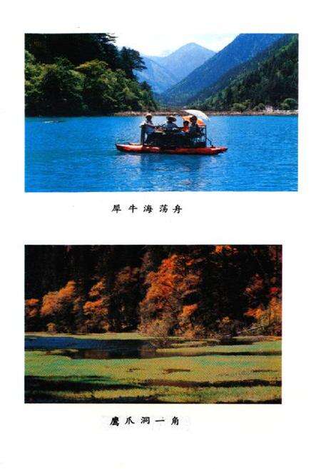 《九寨沟志》.pdf电子版_四川省志预览图5