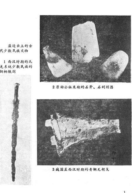 《盐边民族志》.pdf电子版_四川省志预览图2