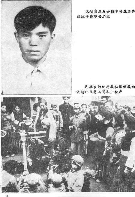 《盐边民族志》.pdf电子版_四川省志预览图5