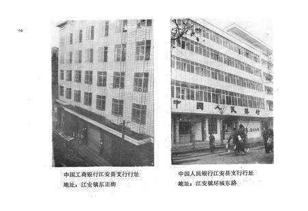 《江安县金融志》.pdf电子版_四川省志预览图4