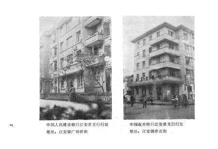 《江安县金融志》.pdf电子版_四川省志预览图5