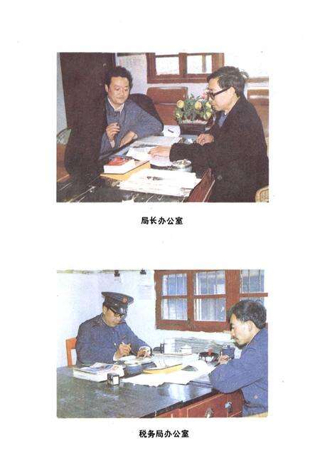 《盐亭县税务志》.pdf电子版_四川省志预览图3