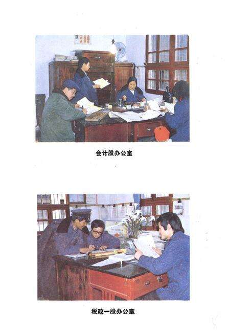 《盐亭县税务志》.pdf电子版_四川省志预览图5