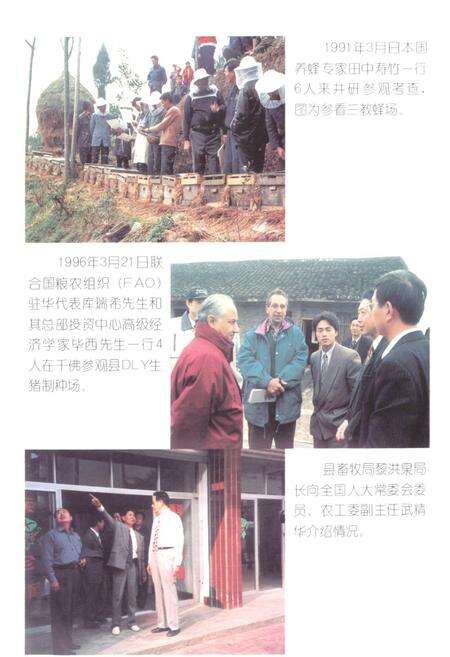 《井研县畜牧志》.pdf电子版_四川省志预览图5