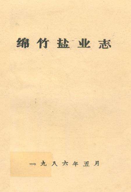 《绵竹盐业志》.pdf电子版_四川省志缩略图