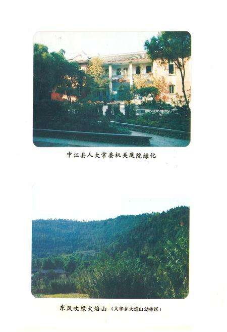 《中江县林业局志》.pdf电子版_四川省志预览图5
