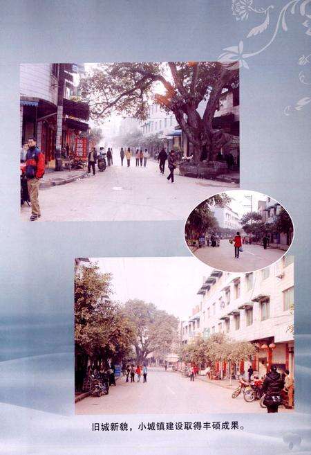 《乐至县良安镇志(1986-2005)》.pdf电子版_四川省志预览图5