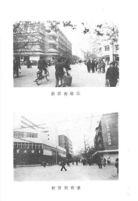 《三台县城乡建设环境保护志》.pdf电子版_四川省志预览图5