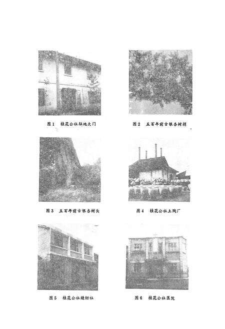 《彭县桂花乡志》.pdf电子版_四川省志预览图3