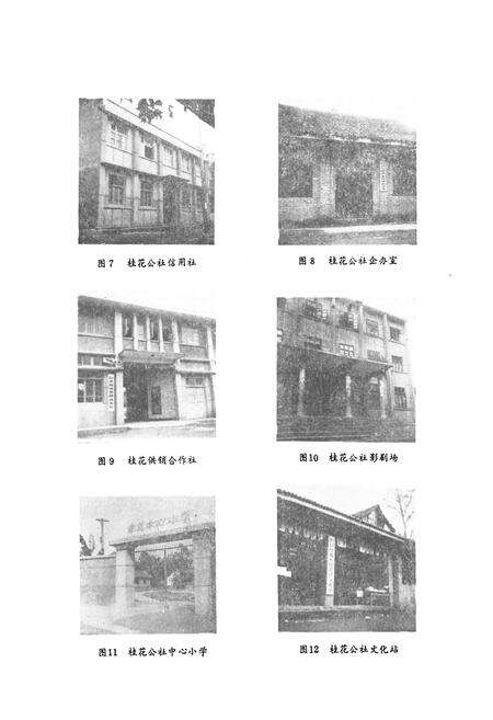 《彭县桂花乡志》.pdf电子版_四川省志预览图4