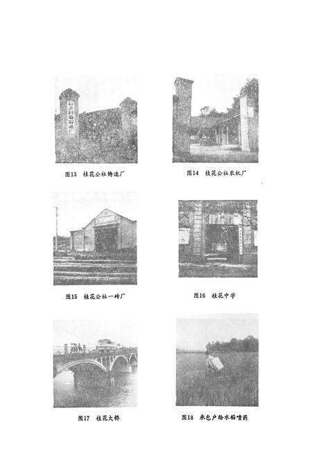 《彭县桂花乡志》.pdf电子版_四川省志预览图5