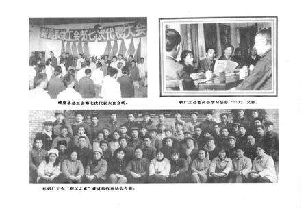 《峨眉县总工会志(1933-1987)》.pdf电子版_四川省志预览图5