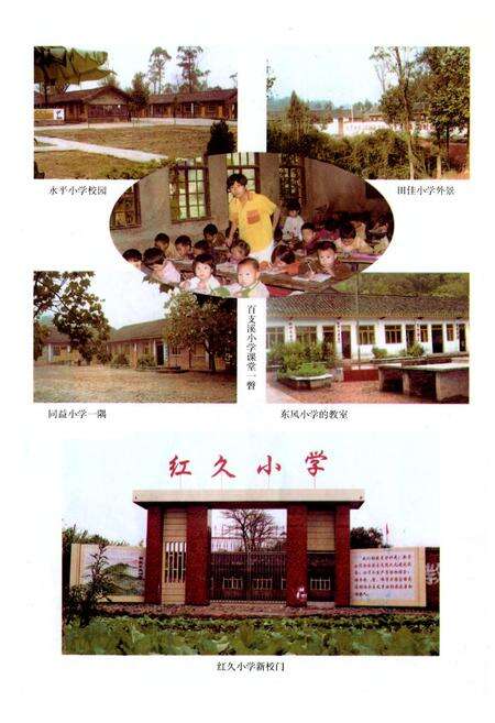 《犍为县孝姑镇小学校志(1950-2000年)》.pdf电子版_四川省志预览图4