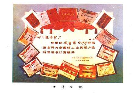 《四川省犍为糖厂志》.pdf电子版_四川省志预览图5