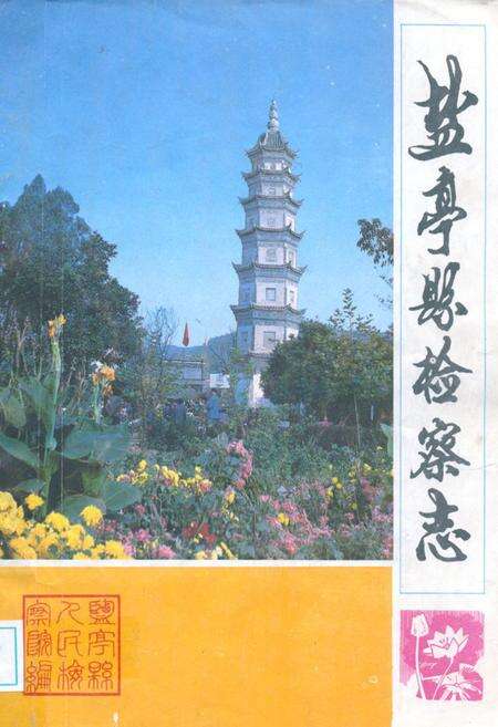 《盐亭县检察志》.pdf电子版_四川省志缩略图