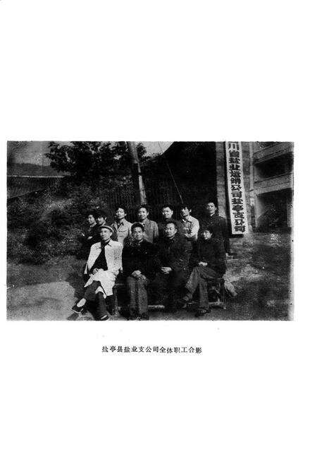 《盐亭县盐业志》.pdf电子版_四川省志预览图3