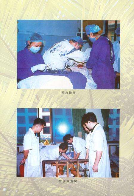 《罗城中心卫生院志(1985-2002)》.pdf电子版_四川省志预览图5