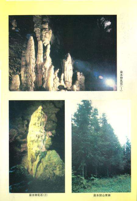 《泉水镇志(1949-1999)》.pdf电子版_四川省志预览图5