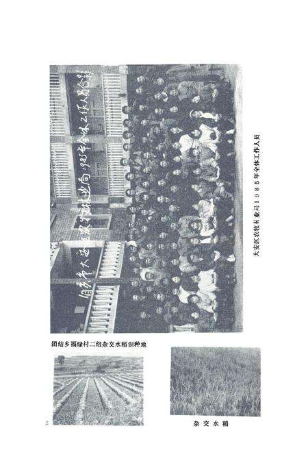 《自贡市大安区农牧林业志》.pdf电子版_四川省志预览图5