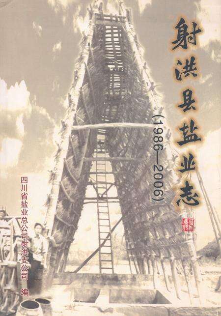 《射洪县盐业志(1986-2006)》.pdf电子版_四川省志缩略图