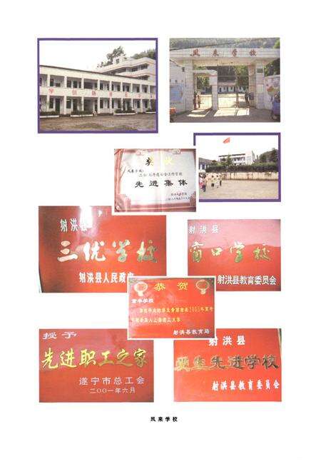 《射洪县凤来镇志(1949-2007)》.pdf电子版_四川省志预览图3