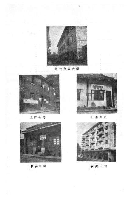 《名山县供销合作社志》.pdf电子版_四川省志预览图3