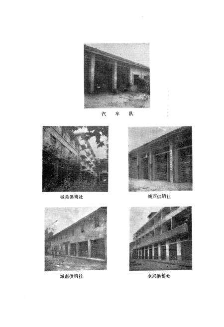 《名山县供销合作社志》.pdf电子版_四川省志预览图5