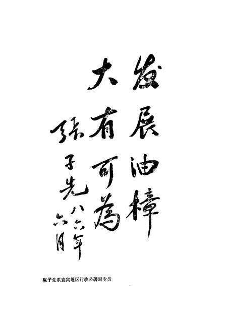 《宜宾县油樟志》.pdf电子版_四川省志预览图1